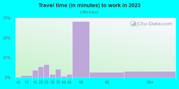 Commute time to work in Little Kabul in Fremont neighborhood in CA