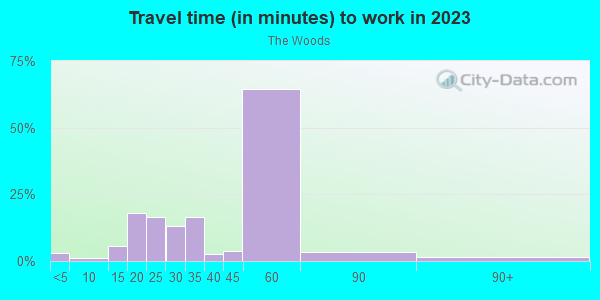 Commute time to work in The Woods in San Jose neighborhood in CA