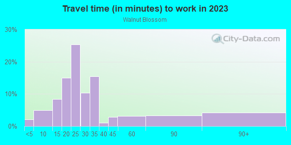 Commute time to work in Walnut Blossom in San Jose neighborhood in CA
