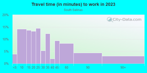 Commute time to work in South Salinas in Salinas neighborhood in CA