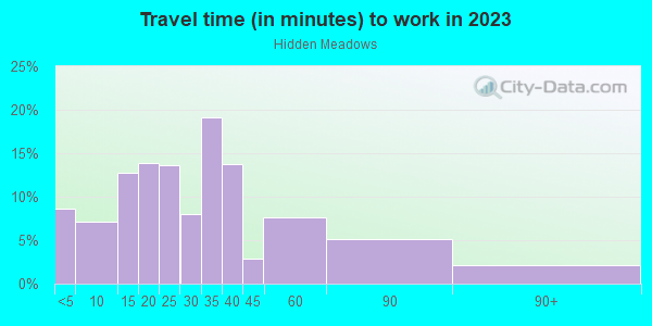 Commute time to work in Hidden Meadows in Camarillo neighborhood in CA