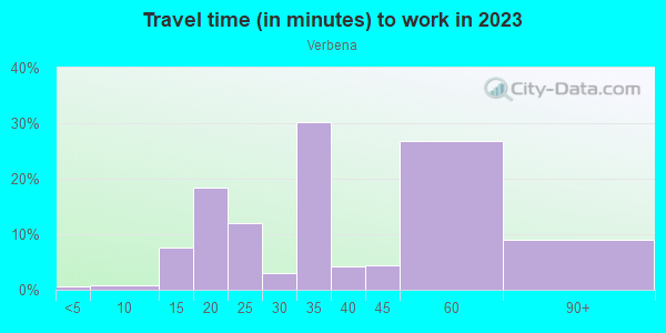 Commute time to work in Verbena in San Ysidro neighborhood in CA