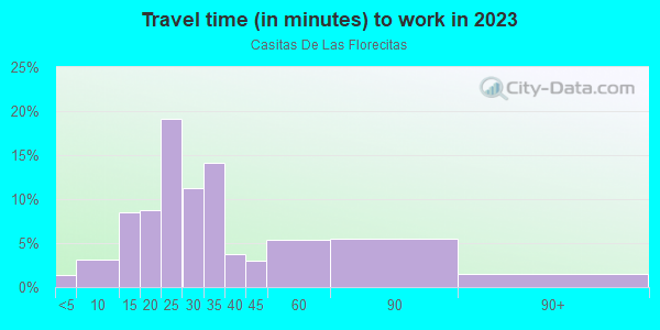 Commute time to work in Casitas De Las Florecitas in San Ysidro neighborhood in CA