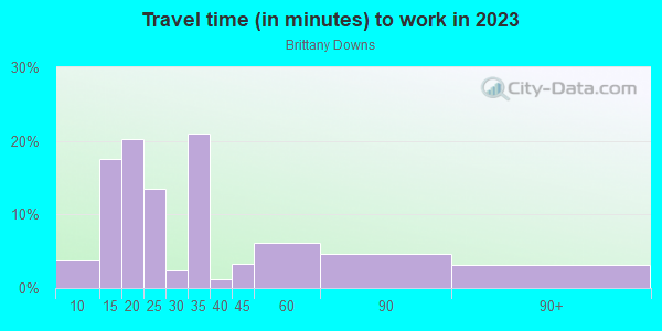 Commute time to work in Brittany Downs in Denver neighborhood in CO