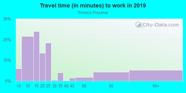 Commute time to work in Timbers Preserve in Steamboat Springs neighborhood in CO