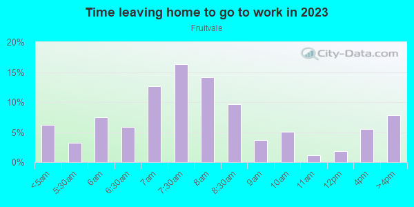 Time Leaving Home for Work in Fruitvale in Grand Junction neighborhood in CO