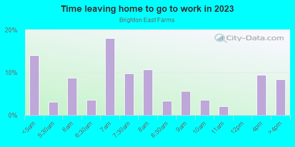 Time Leaving Home for Work in Brighton East Farms in Brighton neighborhood in CO