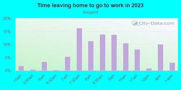 Time Leaving Home for Work in Songbird in Durango neighborhood in CO