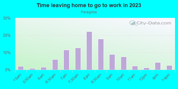 Time Leaving Home for Work in Peregrine in Colorado Springs neighborhood in CO