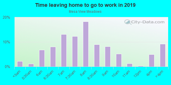 Time Leaving Home for Work in Mesa View Meadows in Grand Junction neighborhood in CO