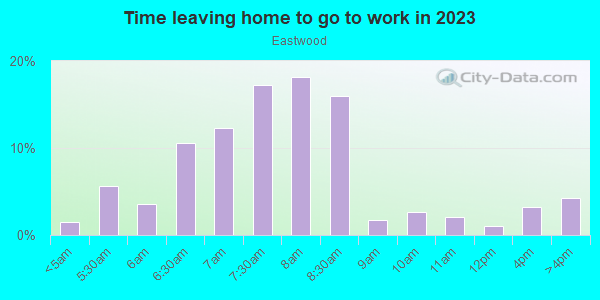 Time Leaving Home for Work in Eastwood in Grand Junction neighborhood in CO