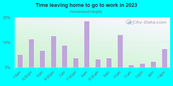 Time Leaving Home for Work in Homestead Heights in Denver neighborhood in CO