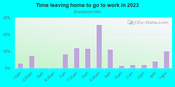 Time Leaving Home for Work in Brandywine Hills in Wilmington neighborhood in DE