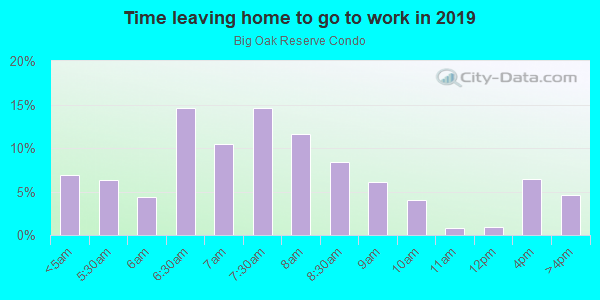 Time Leaving Home for Work in Big Oak Reserve Condo in Tampa neighborhood in FL