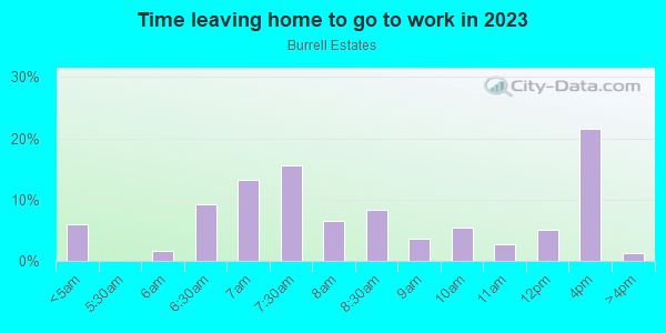 Time Leaving Home for Work in Burrell Estates in Lutz neighborhood in FL