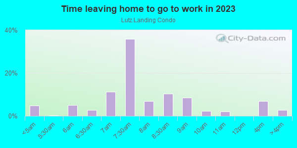 Time Leaving Home for Work in Lutz Landing Condo in Lutz neighborhood in FL