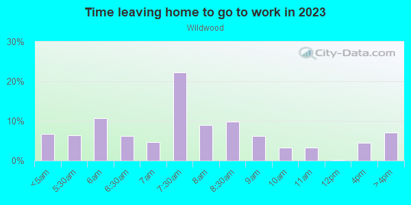 Time Leaving Home for Work in Wildwood in Lutz neighborhood in FL