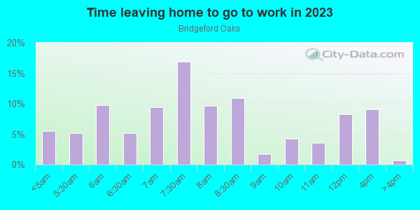 Time Leaving Home for Work in Bridgeford Oaks in Tampa neighborhood in FL