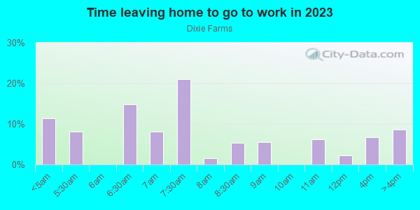 Time Leaving Home for Work in Dixie Farms in Tampa neighborhood in FL