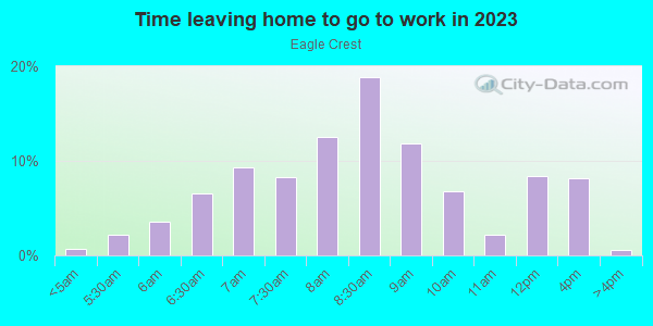 Time Leaving Home for Work in Eagle Crest in Lutz neighborhood in FL