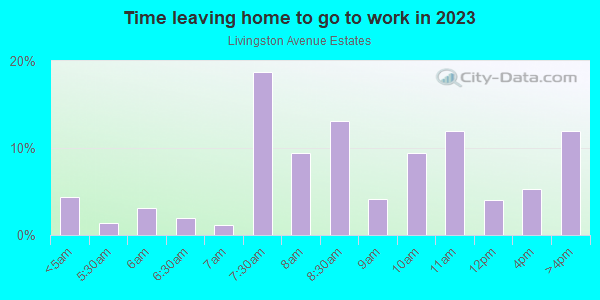 Time Leaving Home for Work in Livingston Avenue Estates in Lutz neighborhood in FL