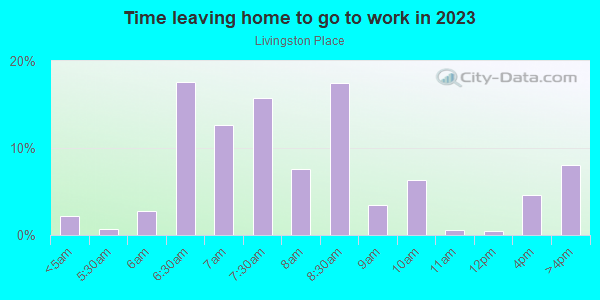 Time Leaving Home for Work in Livingston Place in Lutz neighborhood in FL