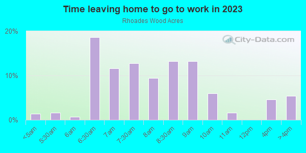 Time Leaving Home for Work in Rhoades Wood Acres in Lutz neighborhood in FL