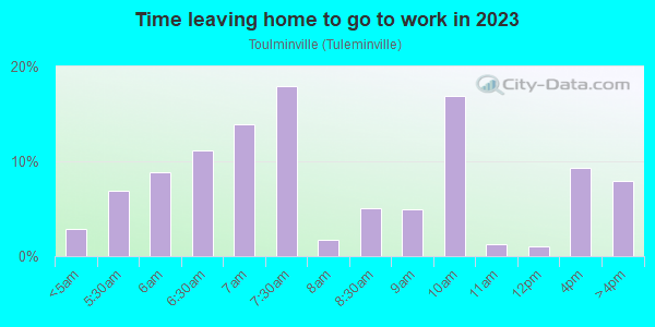 Time Leaving Home for Work in Toulminville in Mobile neighborhood in AL