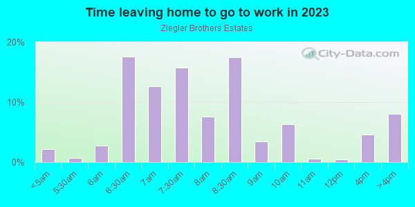 Time Leaving Home for Work in Ziegler Brothers Estates in Lutz neighborhood in FL