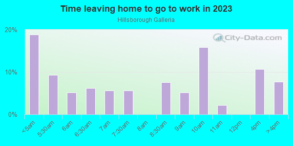 Time Leaving Home for Work in Hillsborough Galleria in Tampa neighborhood in FL