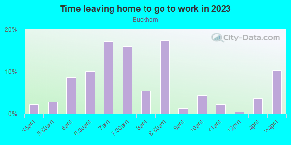 Time Leaving Home for Work in Buckhorn in Valrico neighborhood in FL