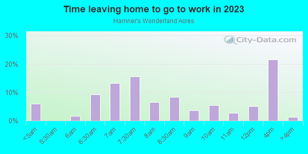 Time Leaving Home for Work in Hamner's Wonderland Acres in Lutz neighborhood in FL