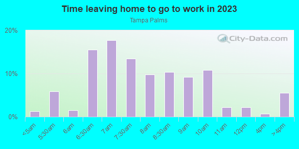 Time Leaving Home for Work in Tampa Palms in Tampa neighborhood in FL