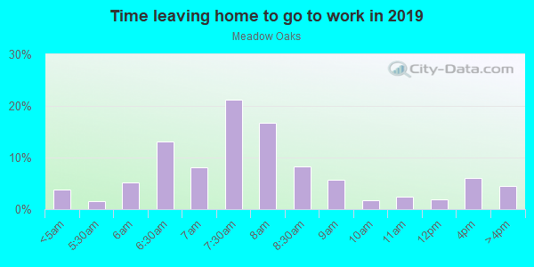Time Leaving Home for Work in Meadow Oaks in Hudson neighborhood in FL