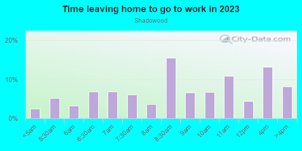 Time Leaving Home for Work in Shadowood in Orlando neighborhood in FL