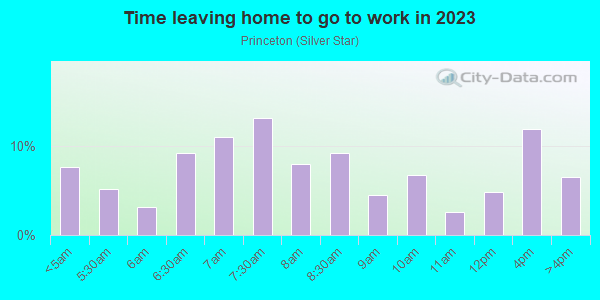Time Leaving Home for Work in Princeton in Orlando neighborhood in FL