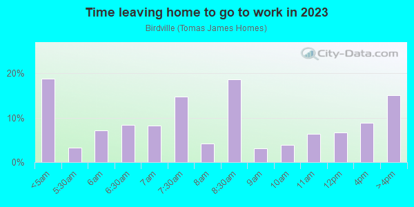 Time Leaving Home for Work in Birdville in Mobile neighborhood in AL