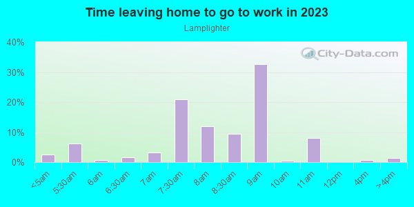 Time Leaving Home for Work in Lamplighter in Gainesville neighborhood in FL