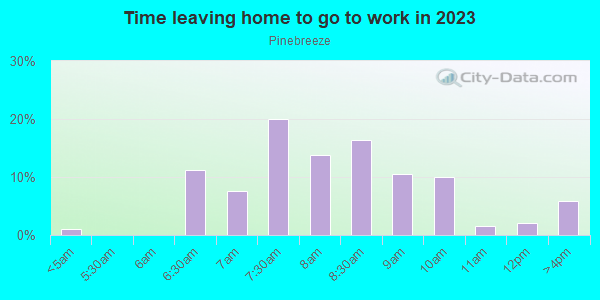 Time Leaving Home for Work in Pinebreeze in Gainesville neighborhood in FL