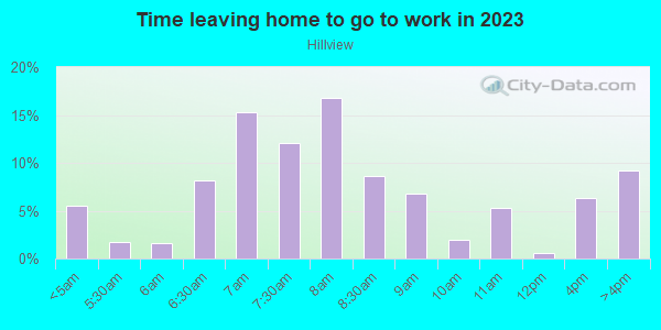 Time Leaving Home for Work in Hillview in Springdale neighborhood in AR