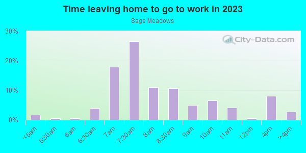 Time Leaving Home for Work in Sage Meadows in Fayetteville neighborhood in AR