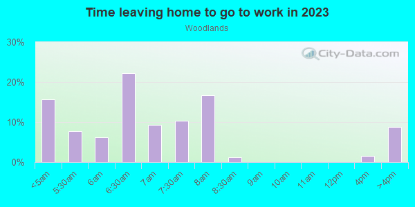 Time Leaving Home for Work in Woodlands in Lake Wales neighborhood in FL