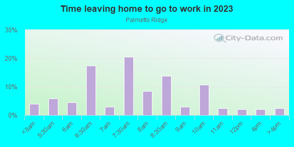 Time Leaving Home for Work in Palmetto Ridge in Winter Haven neighborhood in FL