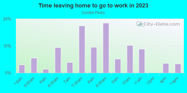 Time Leaving Home for Work in Golden Pines in Miami neighborhood in FL