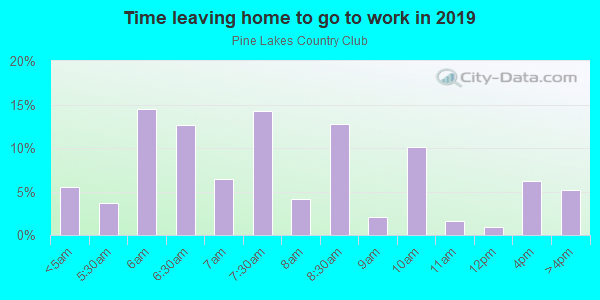 Time Leaving Home for Work in Pine Lakes Country Club in North Fort Myers neighborhood in FL