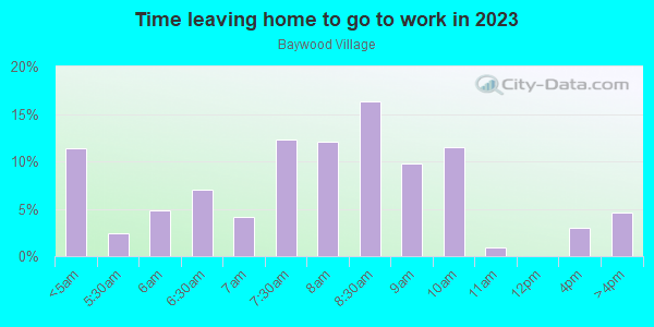 Time Leaving Home for Work in Baywood Village in Palm Harbor neighborhood in FL