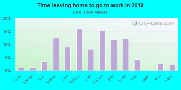 Time Leaving Home for Work in Lake Tarpon Villages in Palm Harbor neighborhood in FL