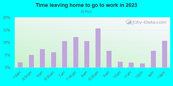 Time Leaving Home for Work in El Pico in Spring Hill neighborhood in FL
