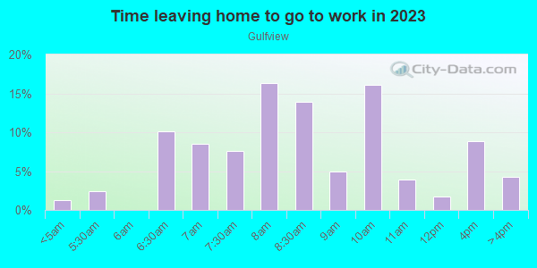 Time Leaving Home for Work in Gulfview in Spring Hill neighborhood in FL