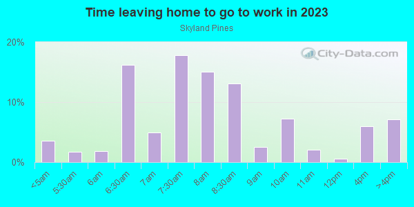 Time Leaving Home for Work in Skyland Pines in Spring Hill neighborhood in FL